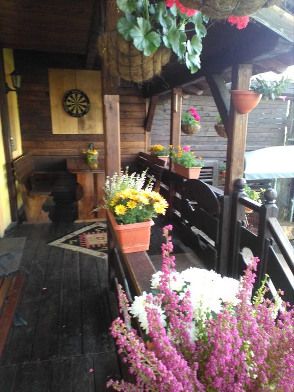 Vila Dariana Vatra Dornei Habitación foto
